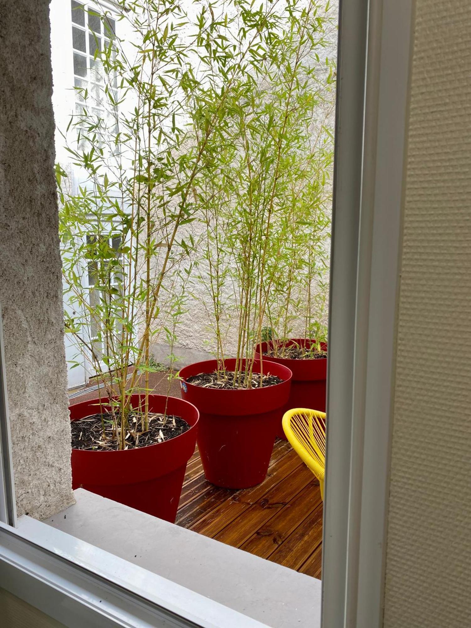 Le Duplex D'Austin Power Apartment Orleans Ngoại thất bức ảnh